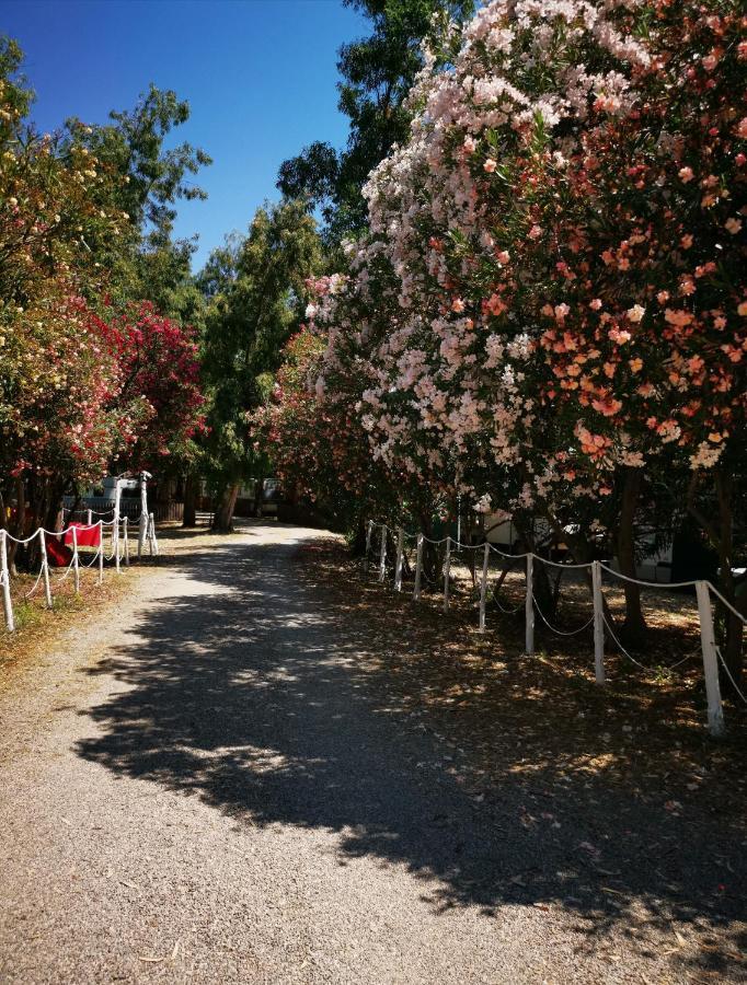 Camping Pitagora Hotel Rossano Exterior photo
